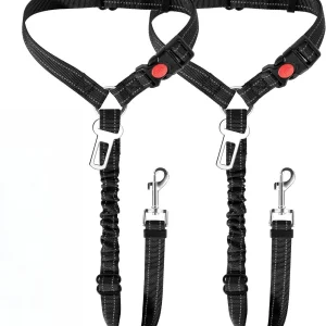 Zenwalk Cendre – Laisse Collection Énergie – Pack duo durable