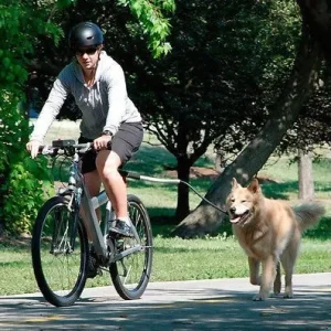 Zenwalk Bike Drift – Laisse pour vélo Collection Éléments respirant et ergonomique