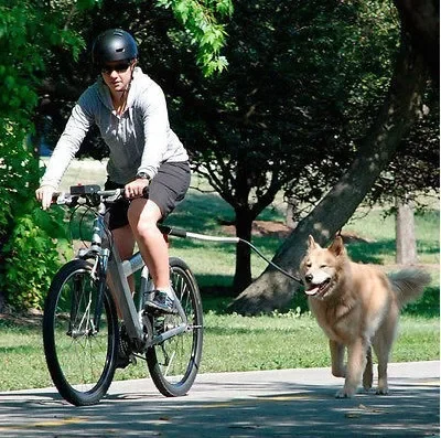 Zenwalk Bike Drift – Laisse pour vélo Collection Éléments respirant et ergonomique