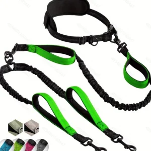 Zenwalk Blaze – Laisse Canicross pour chien Collection Énergie confortable