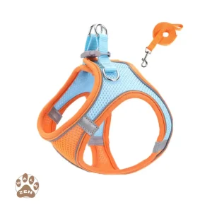 Zenwalk Lotus - Pour Chiot et Chat Collection Zen