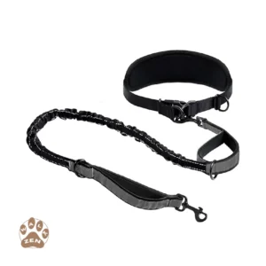 Zenwalk Smoke - Laisse Canicross Collection Énergie