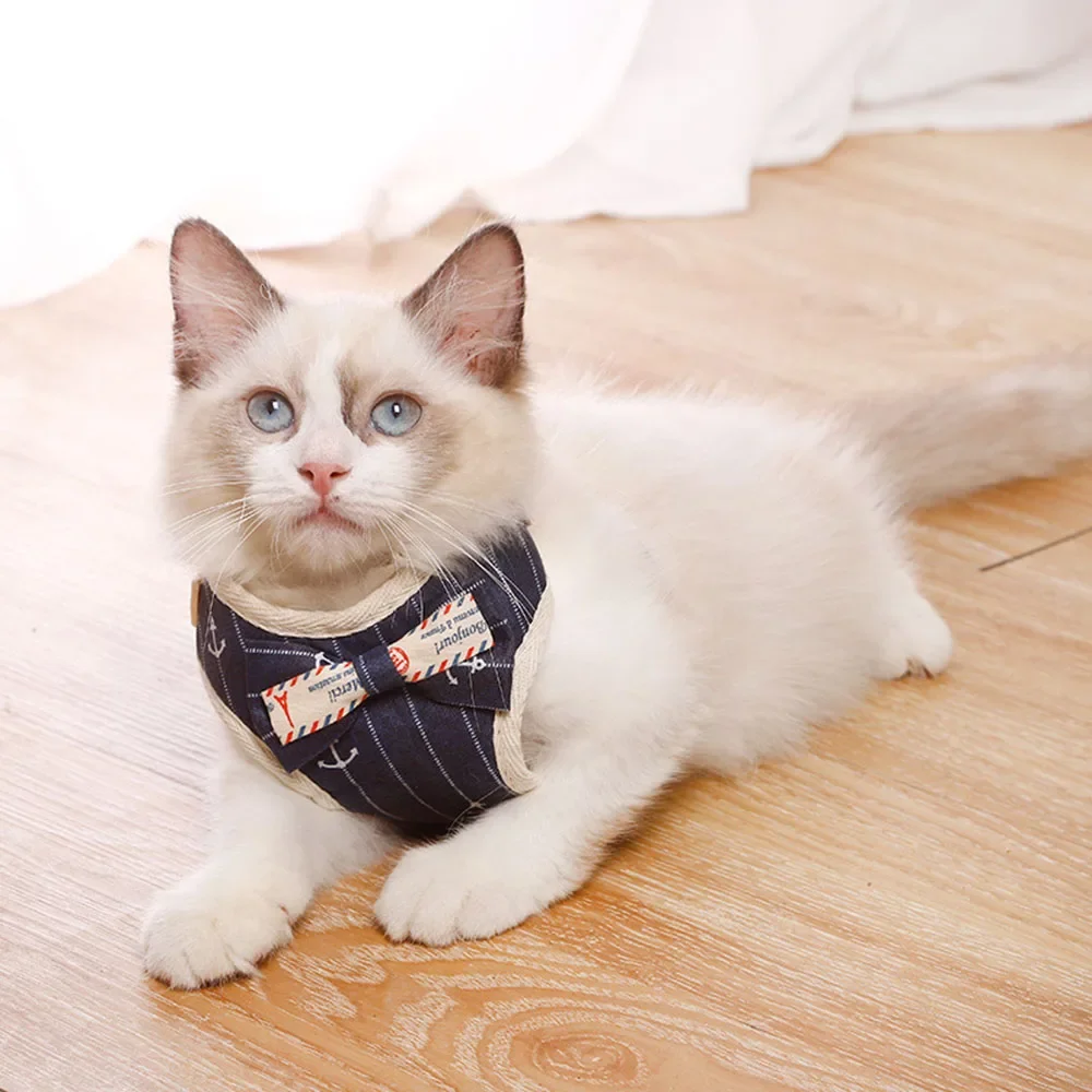 Zenwalk Harmonie - Pour Chiot et Chat Collection Dream – Image 3