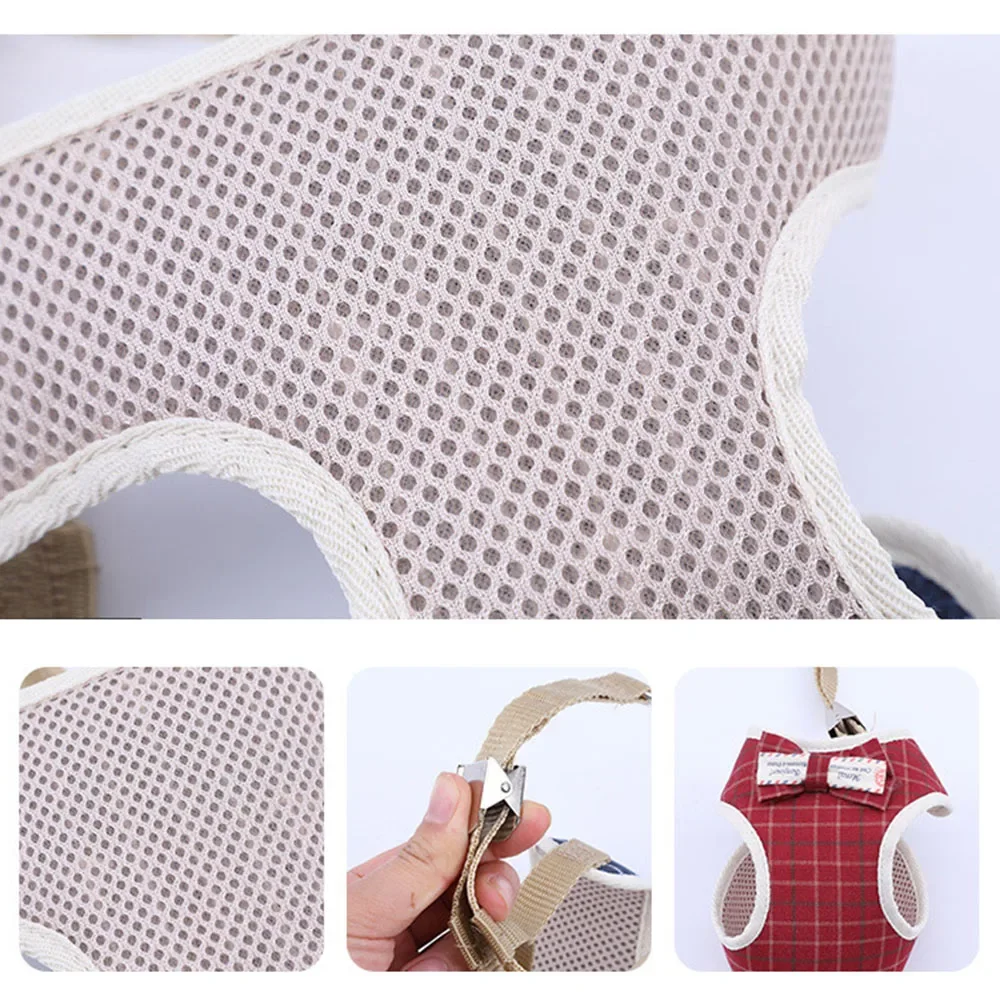 Zenwalk Harmonie - Pour Chiot et Chat Collection Dream – Image 5