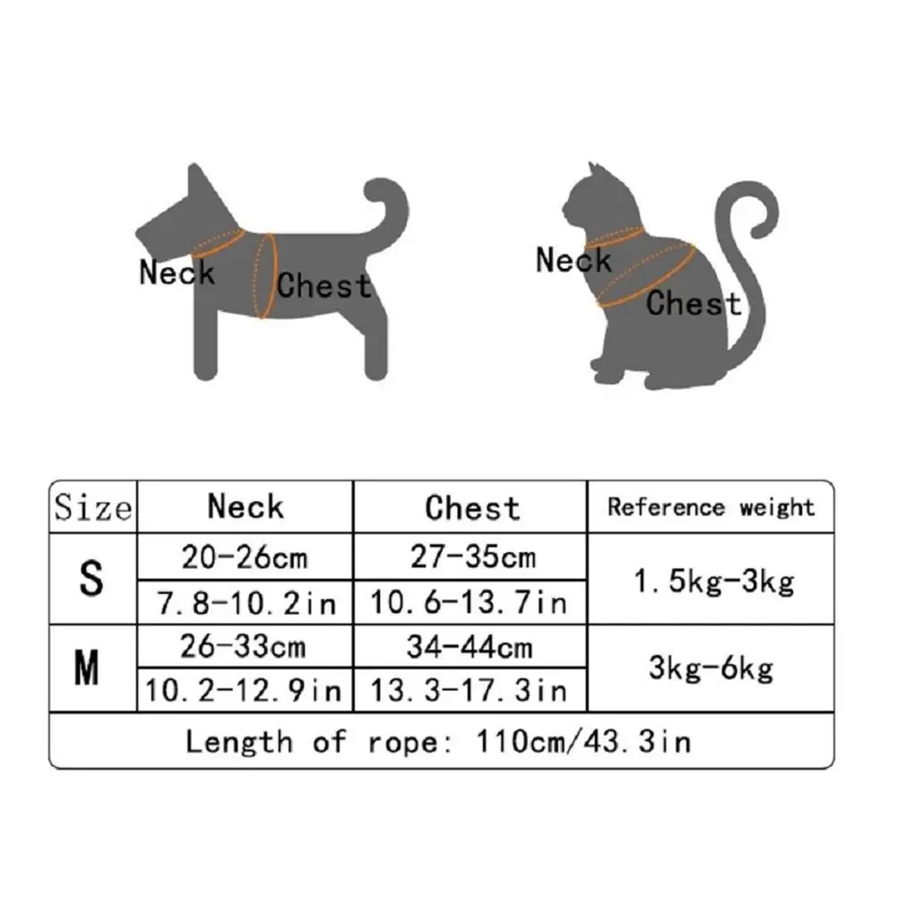 Zenwalk Bear - Pour Chiot et Chat Collection Dream – Image 8